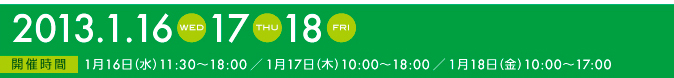 2013.1.16-18 入場無料